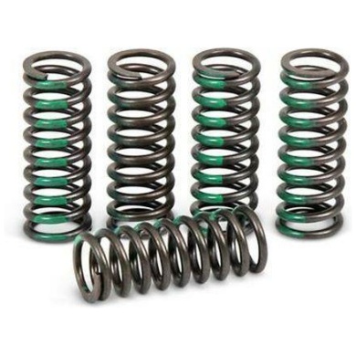 Pro Circuit Kupplungsfedern Kawasaki KXF 450 09-