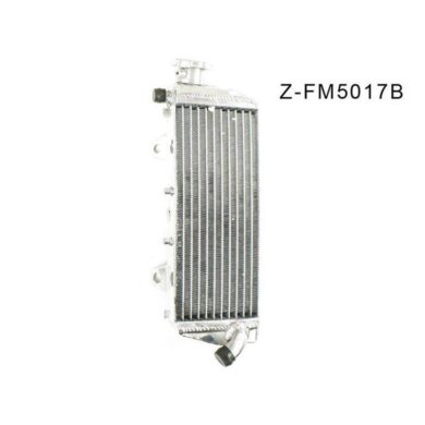 Z-FM5017B-1.jpg