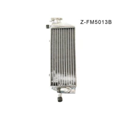 Z-FM5013B-1.jpg